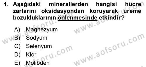 Temel Yem Bilgisi ve Hayvan Besleme Dersi 2023 - 2024 Yılı Yaz Okulu Sınavı 1. Soru