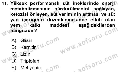 Temel Yem Bilgisi ve Hayvan Besleme Dersi 2023 - 2024 Yılı Yaz Okulu Sınavı 11. Soru