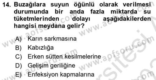 Temel Yem Bilgisi ve Hayvan Besleme Dersi 2023 - 2024 Yılı Yaz Okulu Sınavı 14. Soru