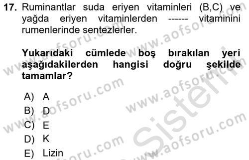 Temel Yem Bilgisi ve Hayvan Besleme Dersi 2023 - 2024 Yılı Yaz Okulu Sınavı 17. Soru