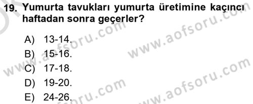 Temel Yem Bilgisi ve Hayvan Besleme Dersi 2023 - 2024 Yılı Yaz Okulu Sınavı 19. Soru