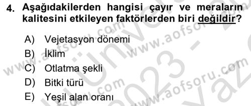 Temel Yem Bilgisi ve Hayvan Besleme Dersi 2023 - 2024 Yılı Yaz Okulu Sınavı 4. Soru