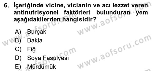 Temel Yem Bilgisi ve Hayvan Besleme Dersi 2023 - 2024 Yılı Yaz Okulu Sınavı 6. Soru