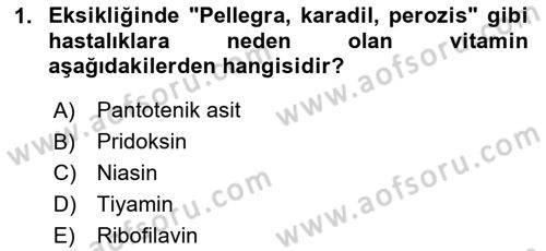 Temel Yem Bilgisi ve Hayvan Besleme Dersi 2024 - 2025 Yılı (Vize) Ara Sınavı 1. Soru