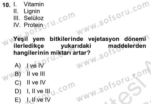 Temel Yem Bilgisi ve Hayvan Besleme Dersi 2024 - 2025 Yılı (Vize) Ara Sınavı 10. Soru