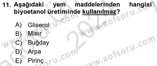 Temel Yem Bilgisi ve Hayvan Besleme Dersi 2024 - 2025 Yılı (Vize) Ara Sınavı 11. Soru