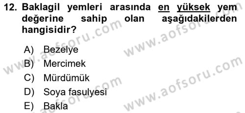 Temel Yem Bilgisi ve Hayvan Besleme Dersi 2024 - 2025 Yılı (Vize) Ara Sınavı 12. Soru