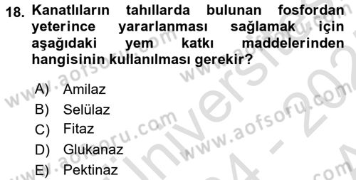 Temel Yem Bilgisi ve Hayvan Besleme Dersi 2024 - 2025 Yılı (Vize) Ara Sınavı 18. Soru