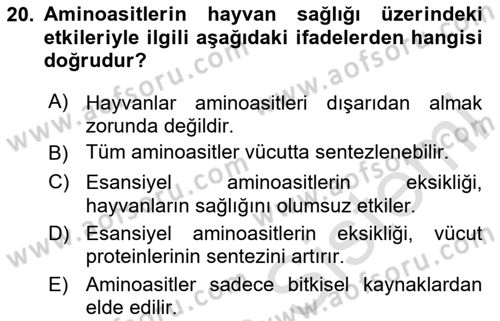 Temel Yem Bilgisi ve Hayvan Besleme Dersi 2024 - 2025 Yılı (Vize) Ara Sınavı 20. Soru