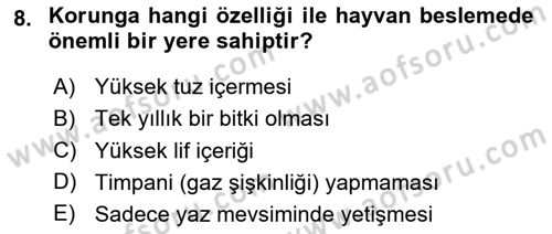 Temel Yem Bilgisi ve Hayvan Besleme Dersi 2024 - 2025 Yılı (Vize) Ara Sınavı 8. Soru