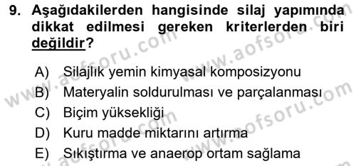 Temel Yem Bilgisi ve Hayvan Besleme Dersi 2024 - 2025 Yılı (Vize) Ara Sınavı 9. Soru