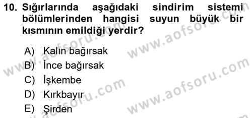 Temel Yem Bilgisi ve Hayvan Besleme Dersi 2024 - 2025 Yılı (Final) Dönem Sonu Sınav Soruları 10. Soru