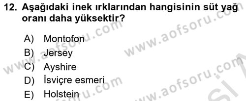 Temel Yem Bilgisi ve Hayvan Besleme Dersi 2024 - 2025 Yılı (Final) Dönem Sonu Sınav Soruları 12. Soru