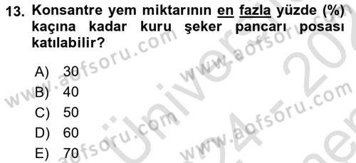 Temel Yem Bilgisi ve Hayvan Besleme Dersi 2024 - 2025 Yılı (Final) Dönem Sonu Sınav Soruları 13. Soru