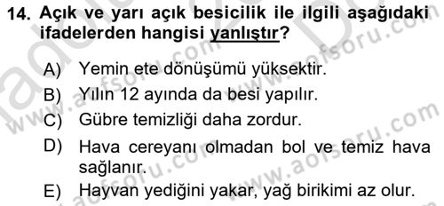 Temel Yem Bilgisi ve Hayvan Besleme Dersi 2024 - 2025 Yılı (Final) Dönem Sonu Sınav Soruları 14. Soru