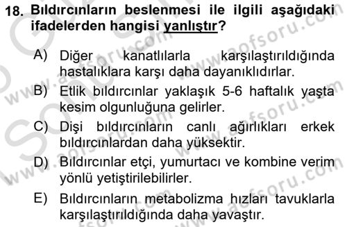 Temel Yem Bilgisi ve Hayvan Besleme Dersi 2024 - 2025 Yılı (Final) Dönem Sonu Sınav Soruları 18. Soru