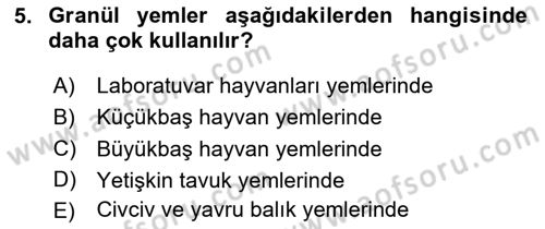 Temel Yem Bilgisi ve Hayvan Besleme Dersi 2024 - 2025 Yılı (Final) Dönem Sonu Sınav Soruları 5. Soru