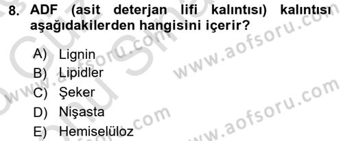 Temel Yem Bilgisi ve Hayvan Besleme Dersi 2024 - 2025 Yılı (Final) Dönem Sonu Sınav Soruları 8. Soru