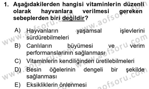 Temel Yem Bilgisi ve Hayvan Besleme Dersi 2024 - 2025 Yılı Yaz Okulu Sınav Soruları 1. Soru