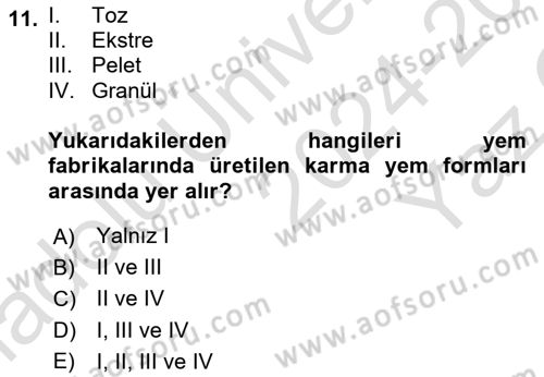 Temel Yem Bilgisi ve Hayvan Besleme Dersi 2024 - 2025 Yılı Yaz Okulu Sınav Soruları 11. Soru