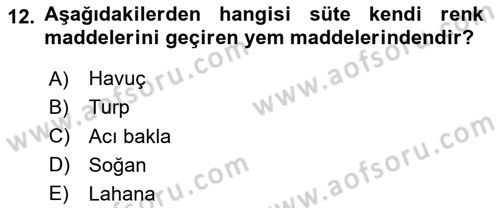 Temel Yem Bilgisi ve Hayvan Besleme Dersi 2024 - 2025 Yılı Yaz Okulu Sınav Soruları 12. Soru