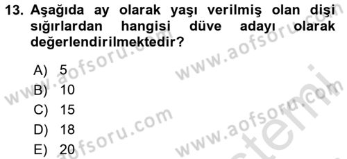 Temel Yem Bilgisi ve Hayvan Besleme Dersi 2024 - 2025 Yılı Yaz Okulu Sınav Soruları 13. Soru