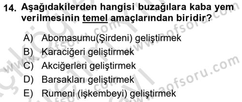 Temel Yem Bilgisi ve Hayvan Besleme Dersi 2024 - 2025 Yılı Yaz Okulu Sınav Soruları 14. Soru