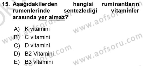 Temel Yem Bilgisi ve Hayvan Besleme Dersi 2024 - 2025 Yılı Yaz Okulu Sınav Soruları 15. Soru