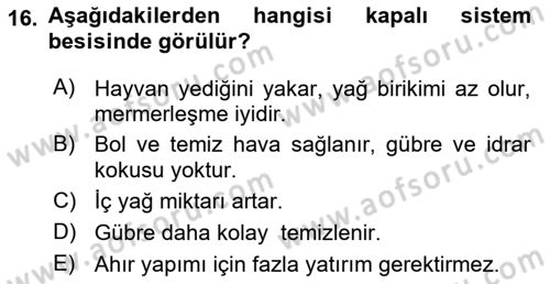 Temel Yem Bilgisi ve Hayvan Besleme Dersi 2024 - 2025 Yılı Yaz Okulu Sınav Soruları 16. Soru
