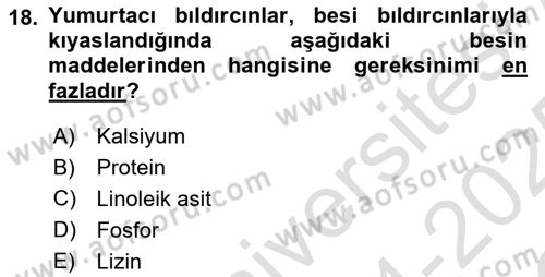 Temel Yem Bilgisi ve Hayvan Besleme Dersi 2024 - 2025 Yılı Yaz Okulu Sınav Soruları 18. Soru