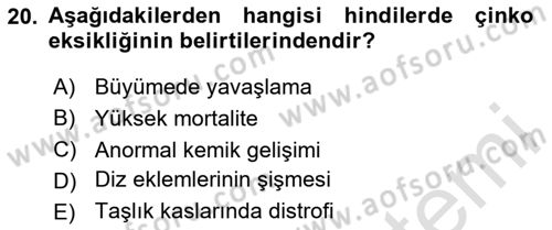 Temel Yem Bilgisi ve Hayvan Besleme Dersi 2024 - 2025 Yılı Yaz Okulu Sınav Soruları 20. Soru