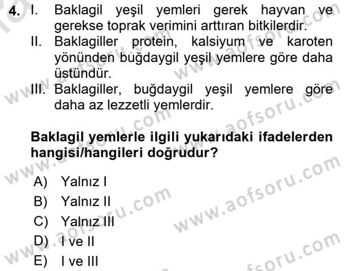 Temel Yem Bilgisi ve Hayvan Besleme Dersi 2024 - 2025 Yılı Yaz Okulu Sınav Soruları 4. Soru