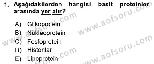 Temel Yem Bilgisi ve Hayvan Besleme Dersi 2025 - 2026 Yılı (Vize) Ara Sınav Soruları 1. Soru