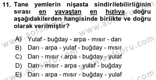 Temel Yem Bilgisi ve Hayvan Besleme Dersi 2025 - 2026 Yılı (Vize) Ara Sınav Soruları 11. Soru