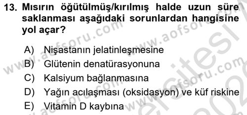 Temel Yem Bilgisi ve Hayvan Besleme Dersi 2025 - 2026 Yılı (Vize) Ara Sınav Soruları 13. Soru