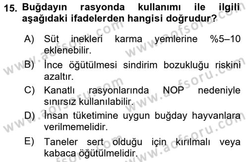Temel Yem Bilgisi ve Hayvan Besleme Dersi 2025 - 2026 Yılı (Vize) Ara Sınav Soruları 15. Soru