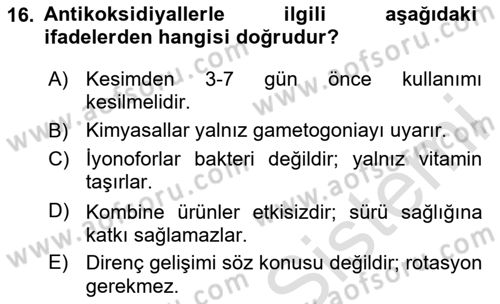 Temel Yem Bilgisi ve Hayvan Besleme Dersi 2025 - 2026 Yılı (Vize) Ara Sınav Soruları 16. Soru
