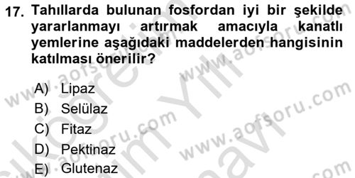 Temel Yem Bilgisi ve Hayvan Besleme Dersi 2025 - 2026 Yılı (Vize) Ara Sınav Soruları 17. Soru