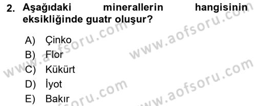 Temel Yem Bilgisi ve Hayvan Besleme Dersi 2025 - 2026 Yılı (Vize) Ara Sınav Soruları 2. Soru