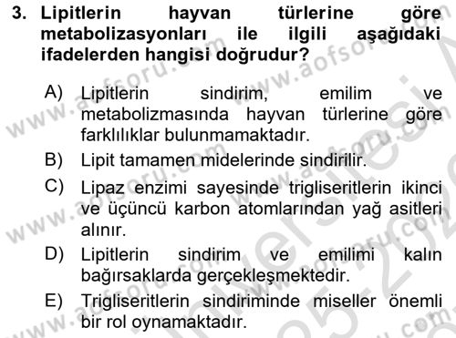 Temel Yem Bilgisi ve Hayvan Besleme Dersi 2025 - 2026 Yılı (Vize) Ara Sınav Soruları 3. Soru