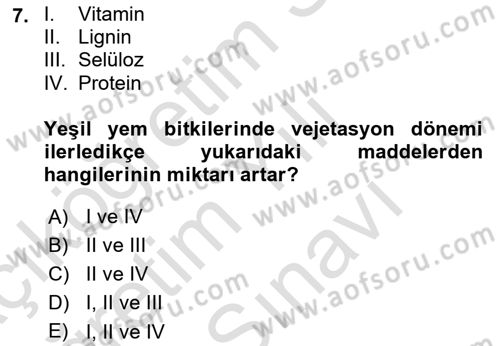 Temel Yem Bilgisi ve Hayvan Besleme Dersi 2025 - 2026 Yılı (Vize) Ara Sınav Soruları 7. Soru