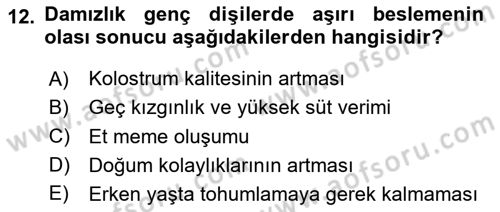 Temel Yem Bilgisi ve Hayvan Besleme Dersi 2025 - 2026 Yılı (Final) Dönem Sonu Sınav Soruları 12. Soru