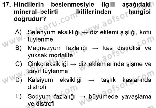 Temel Yem Bilgisi ve Hayvan Besleme Dersi 2025 - 2026 Yılı (Final) Dönem Sonu Sınav Soruları 17. Soru