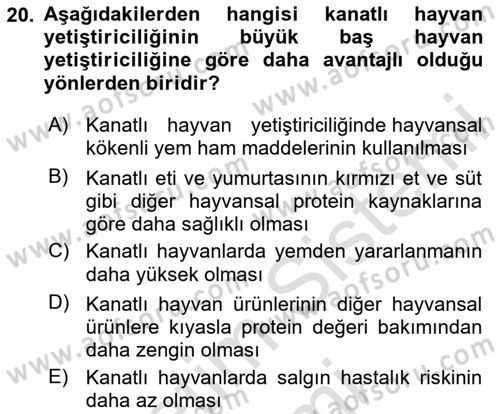 Temel Yem Bilgisi ve Hayvan Besleme Dersi 2025 - 2026 Yılı (Final) Dönem Sonu Sınav Soruları 20. Soru