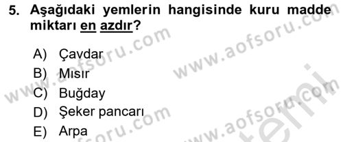 Temel Yem Bilgisi ve Hayvan Besleme Dersi 2025 - 2026 Yılı (Final) Dönem Sonu Sınav Soruları 5. Soru