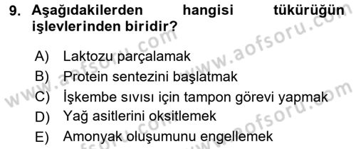 Temel Yem Bilgisi ve Hayvan Besleme Dersi 2025 - 2026 Yılı (Final) Dönem Sonu Sınav Soruları 9. Soru