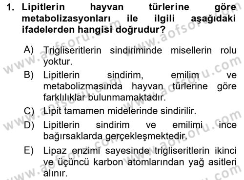 Temel Yem Bilgisi ve Hayvan Besleme Dersi 2025 - 2026 Yılı Yaz Okulu Sınav Soruları 1. Soru