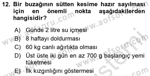 Temel Yem Bilgisi ve Hayvan Besleme Dersi 2025 - 2026 Yılı Yaz Okulu Sınav Soruları 12. Soru
