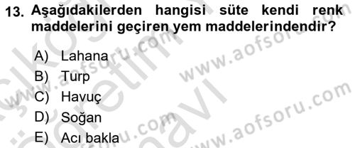Temel Yem Bilgisi ve Hayvan Besleme Dersi 2025 - 2026 Yılı Yaz Okulu Sınav Soruları 13. Soru