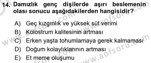 Temel Yem Bilgisi ve Hayvan Besleme Dersi 2025 - 2026 Yılı Yaz Okulu Sınav Soruları 14. Soru